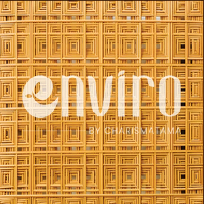 ENVIRO Pattern 11